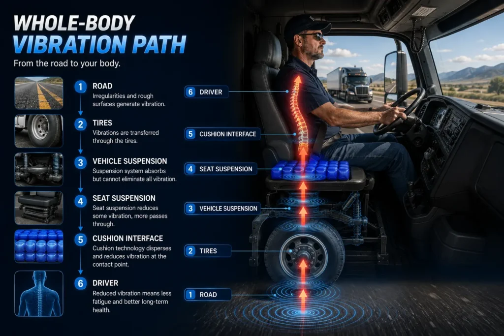 Whole-body vibration pathway through commercial vehicle seating